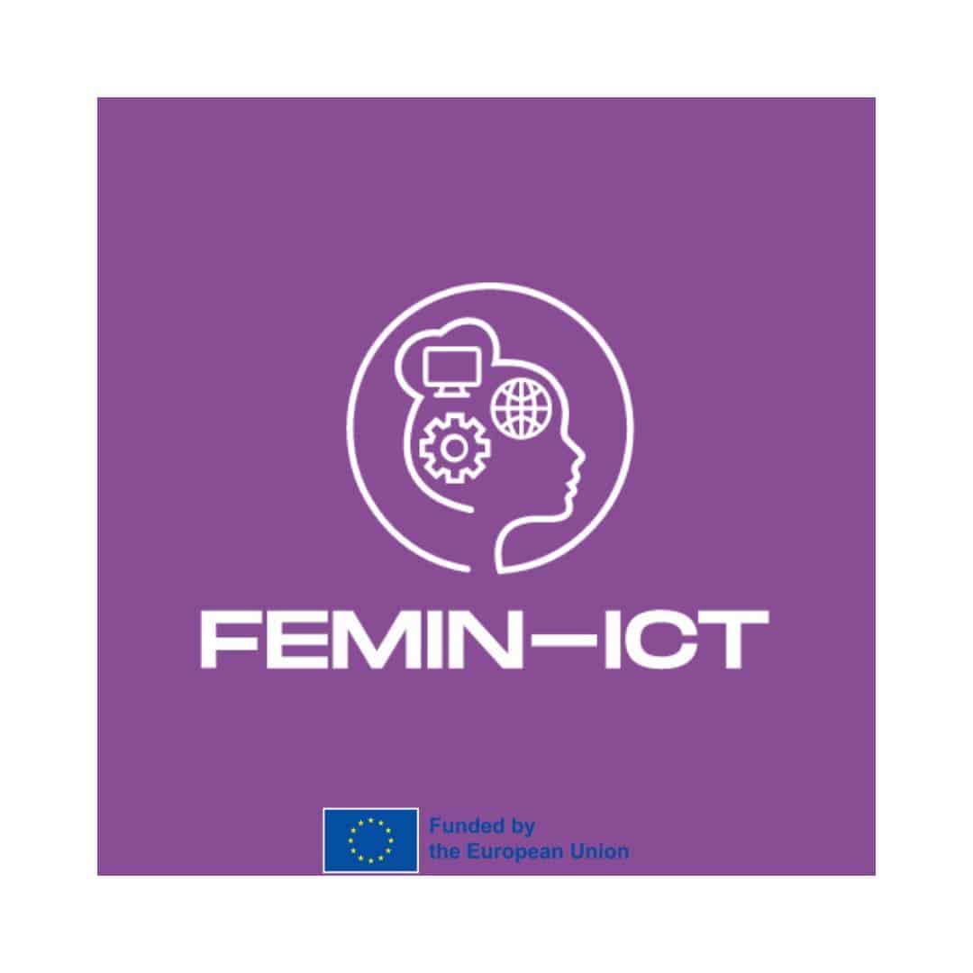 Read more about the article FeminICT project