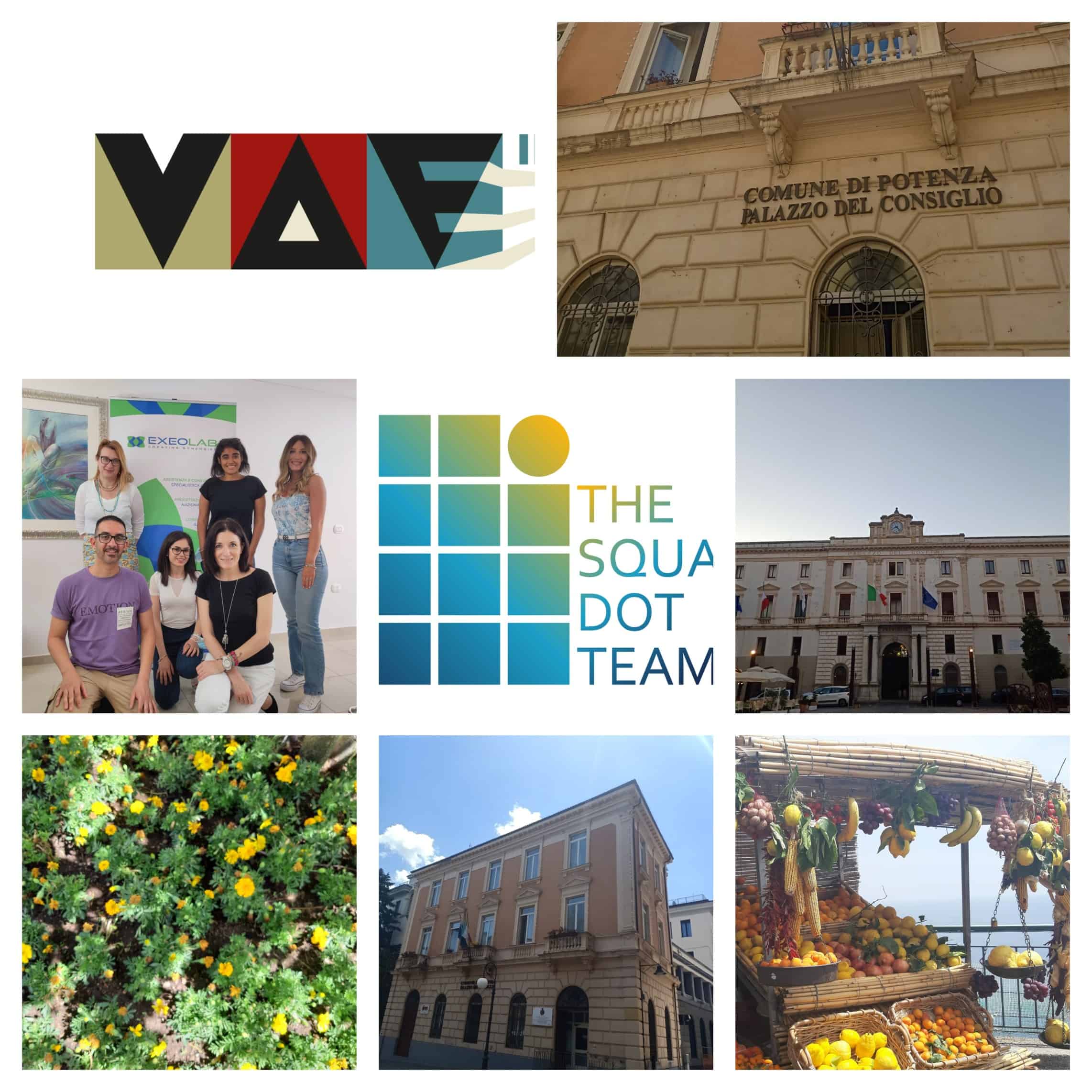 Read more about the article VAE Steering Committee in Potenza, Italy