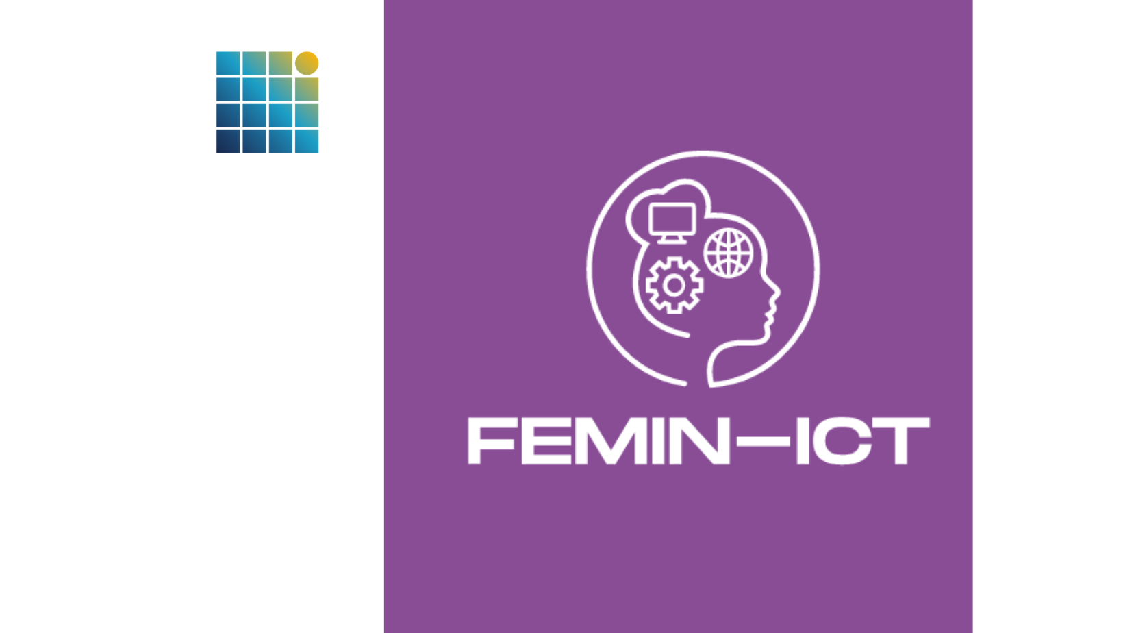 Read more about the article FeminICT: Monthly Meeting